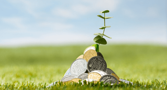 Finance verte : le « Fonds Vert Togo » veut repositionner Lomé sur le marché mondial des financements climatiques