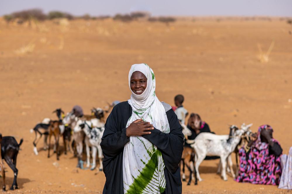 Économie du Sahel : pourquoi les investisseurs doivent dépasser la grille du risque ?