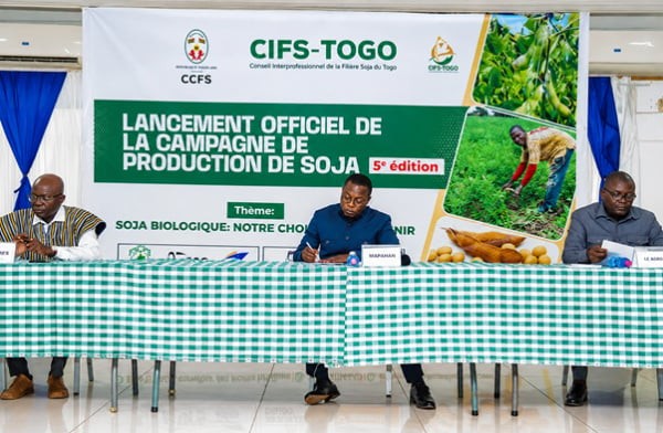 Filière soja au Togo : une ambition à 300 000 tonnes pour la campagne 2026-2027