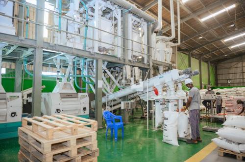 Agro-industrie : Le Togo face au défi de la transformation et des cours mondiaux