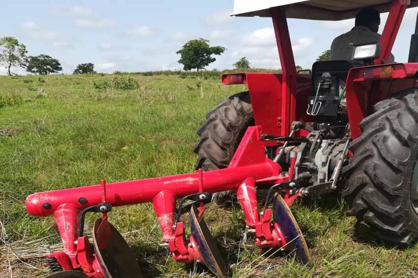 Togo : la modernisation intégrée de l'agriculture prend forme entre 2020 et 2025