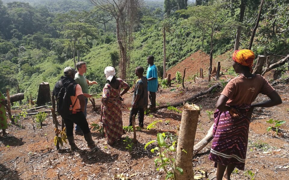 Togo : après 2,7 milliards FCFA mobilisés, le mécanisme Forêts et Paysans face au défi de l’après-2026